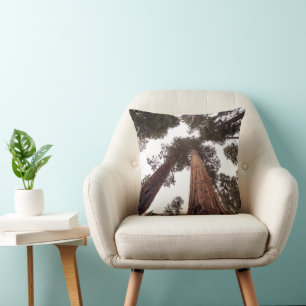 forest, tree cushion