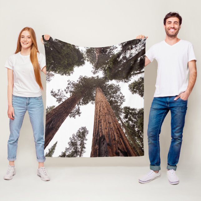 forest, tree fleece blanket (In Situ)