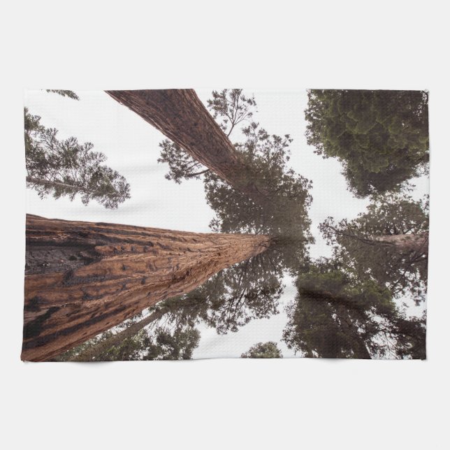 forest, tree tea towel (Horizontal)