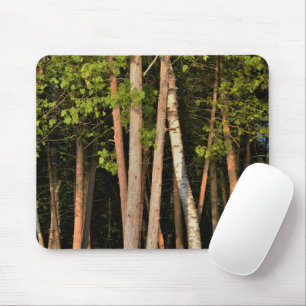 Forest Trees Mouse Pad