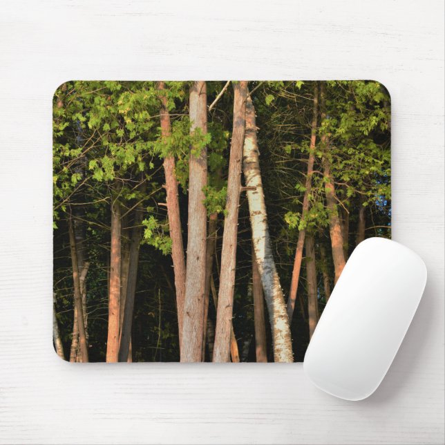 Forest Trees Mouse Pad (With Mouse)