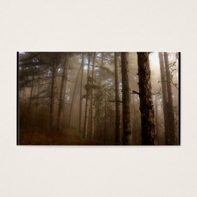 Forest Trees Natural Landscape (Front)