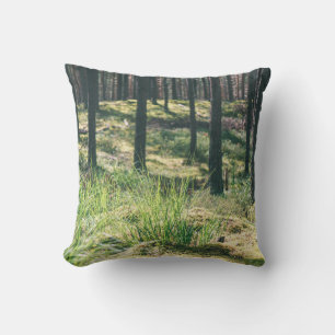 Forest trees. nature green wood sunlight backgroun cushion