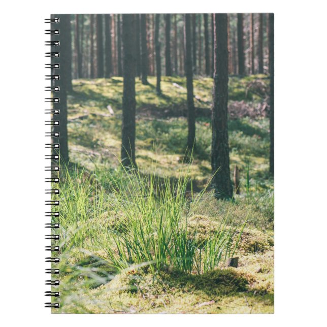 Forest trees. nature green wood sunlight backgroun notebook (Front)