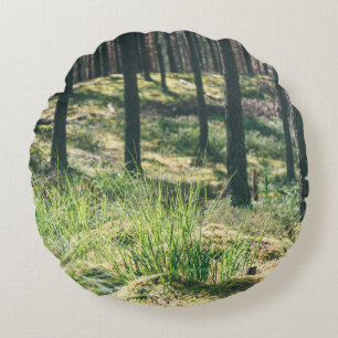 Forest trees. nature green wood sunlight backgroun round cushion