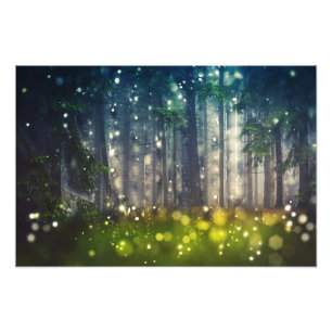 forest, trees on forest light, dusk photo print