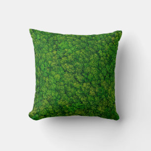 Forest view from above, aerial top view with copy  cushion