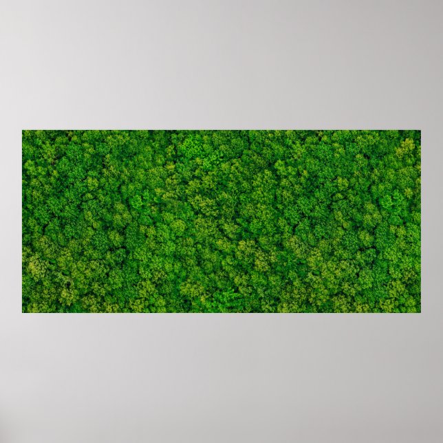Forest view from above, aerial top view with copy  poster (Front)