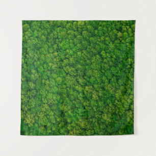 Forest view from above, aerial top view with copy  tapestry