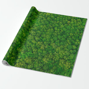 Forest view from above, aerial top view with copy  wrapping paper