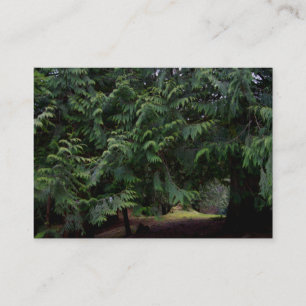 Forest Walk Business Card