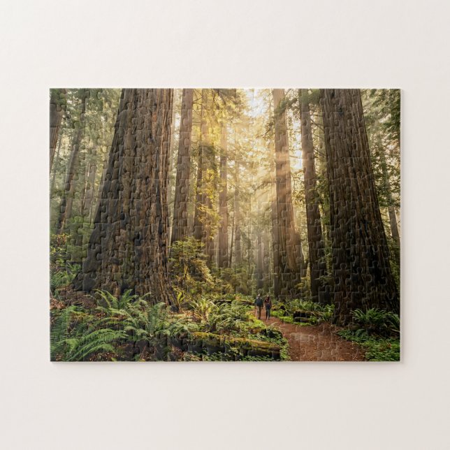 Forest Walk Jigsaw Puzzle (Horizontal)