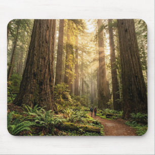 Forest Walk Mouse Pad