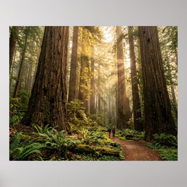 Forest Walk Poster (Front)