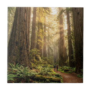 Forest Walk Tile