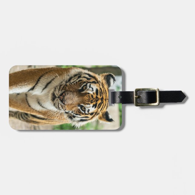 Forest walking tiger  luggage tag (Front Horizontal)