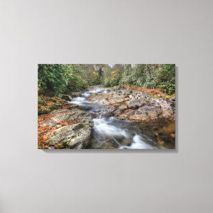 Forest Waterfall Canvas Print