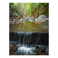 Forest Waterfall Cascade – Mountain Stream Print