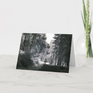 Forest Way/Infrared Photography Card