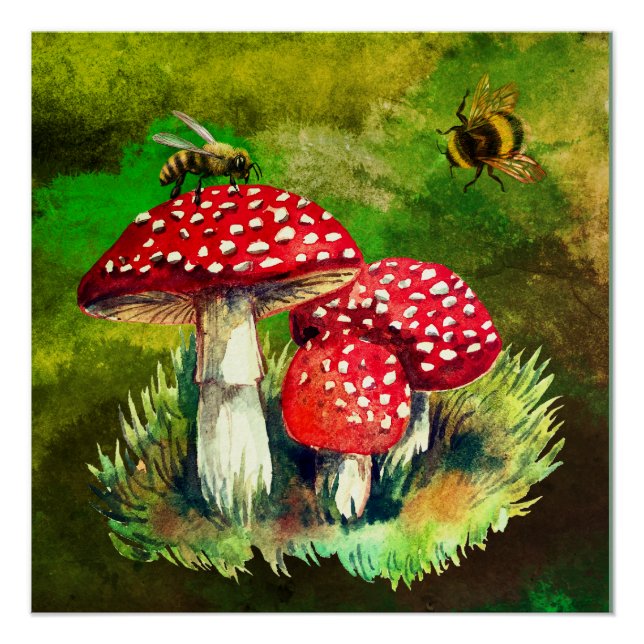 Forest, wild mushrooms poster (Front)