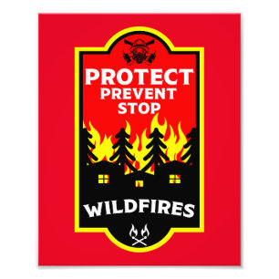 Forest Wildfire Prevention Photo Print