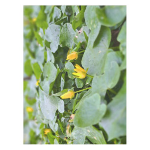 Forest Wildflowers – Botanical Nature Photography Tablecloth