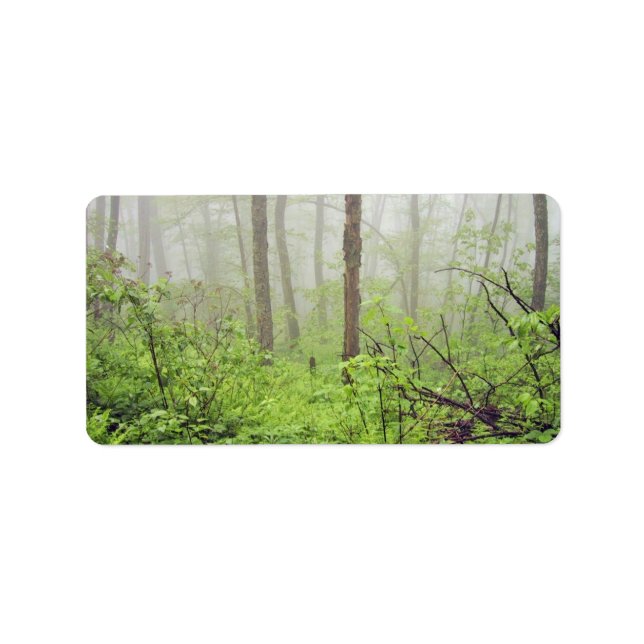 Forest with fog label (Front)