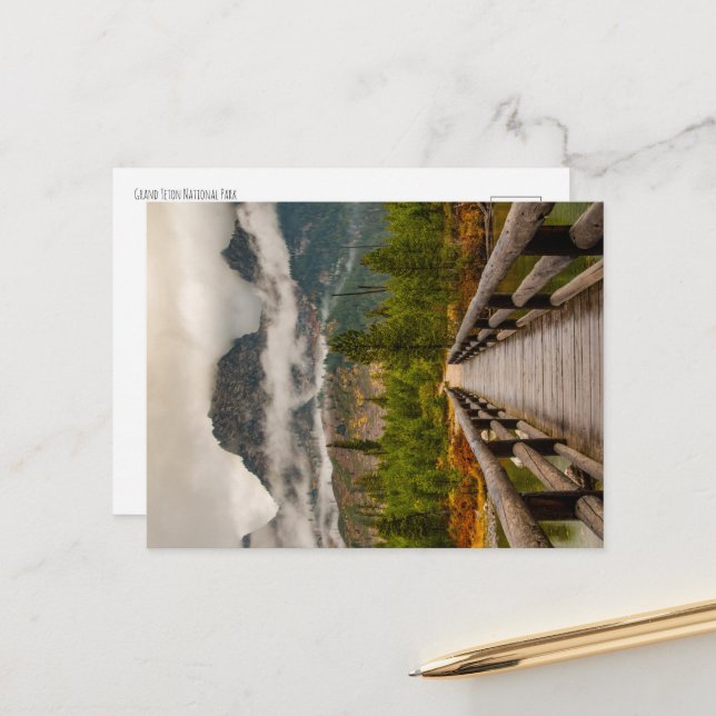 Forested Trail Postcard (Front/Back In Situ)