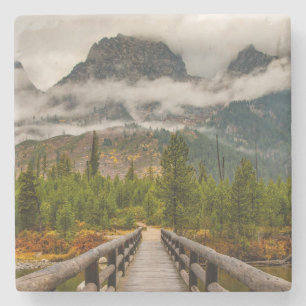 Forested Trail Stone Coaster