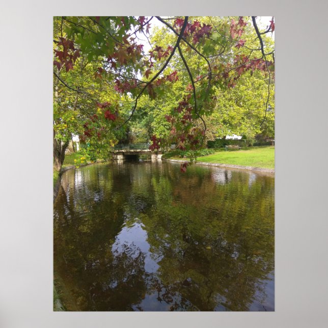 Forestier Lake Poster (Front)