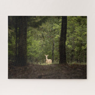 Forests A White Tailed Deer in the Woods Jigsaw Puzzle