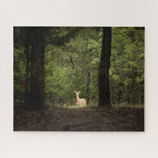 Forests | A White Tailed Deer in the Woods Jigsaw Puzzle (Horizontal)