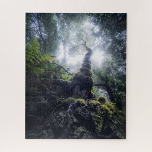 Forests   Anaga Rural Park Canary Islands Jigsaw Puzzle