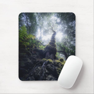 Forests Anaga Rural Park Canary Islands Mouse Pad