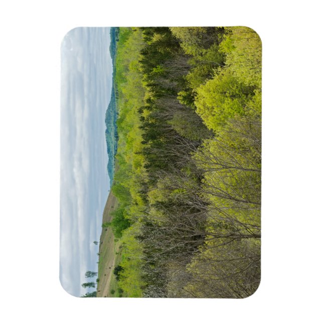 Forests and Hills in Black River Falls Magnet (Vertical)