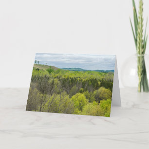Forests and Hills in Black River Falls Thank You Card