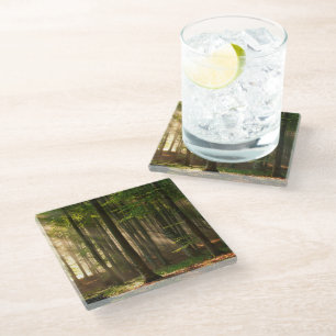 Forests Autumn Forest Glass Coaster