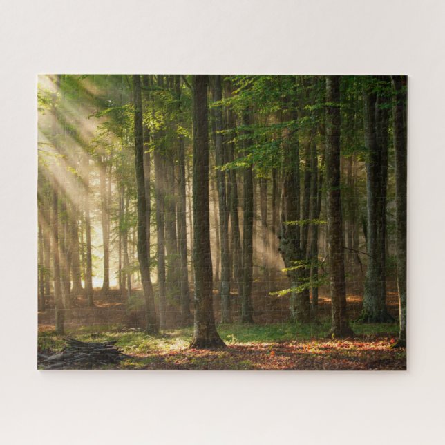 Forests | Autumn Forest Jigsaw Puzzle (Horizontal)
