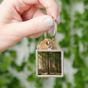 Forests   Autumn Forest Key Ring