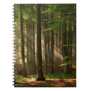 Forests Autumn Forest Notebook