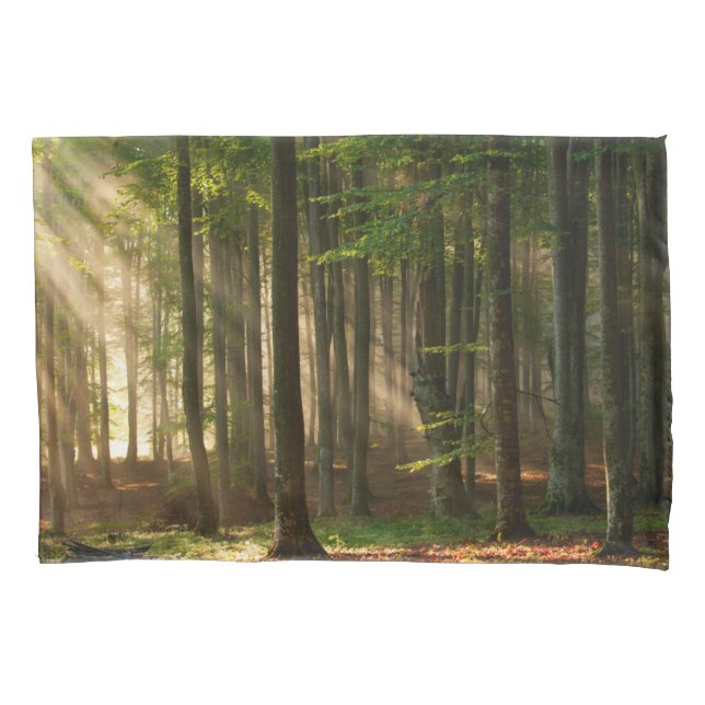 Forests | Autumn Forest Pillowcase (Front)