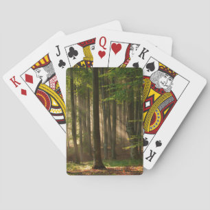 Forests   Autumn Forest Playing Cards
