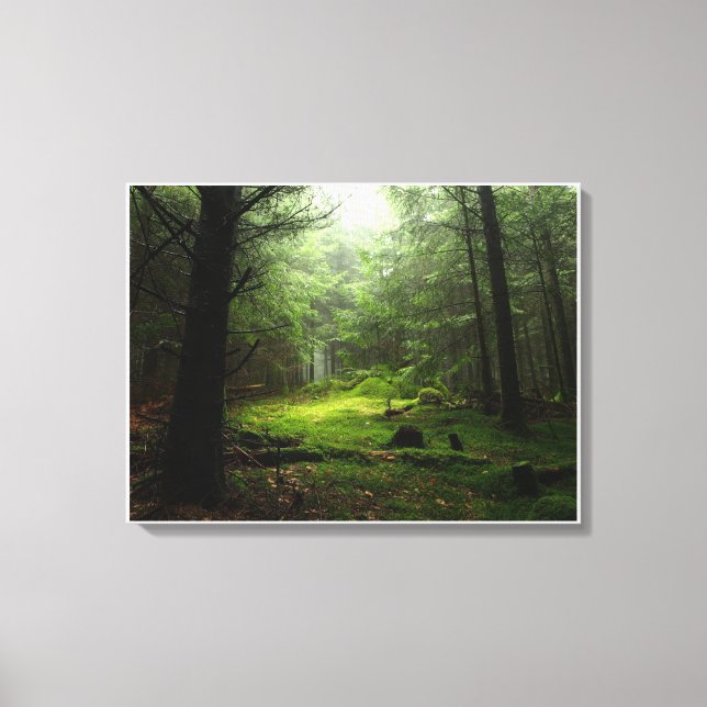 Forests | Auvergne France Canvas Print (Front)