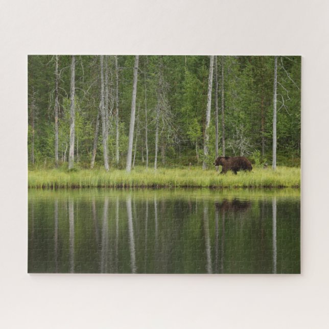Forests | Bear at Taiga Forest Northern Finland Jigsaw Puzzle (Horizontal)