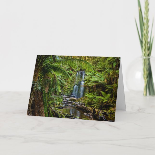 Forests | Beauchamp Falls Australia Card (Front)