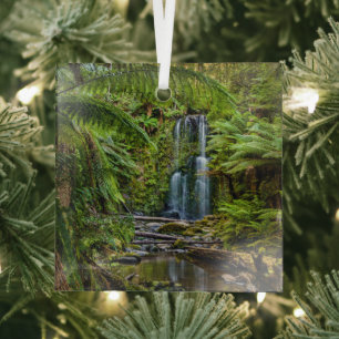 Forests Beauchamp Falls Australia Glass Tree Decoration