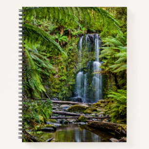 Forests Beauchamp Falls Australia Notebook