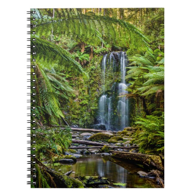 Forests | Beauchamp Falls Australia Notebook (Front)