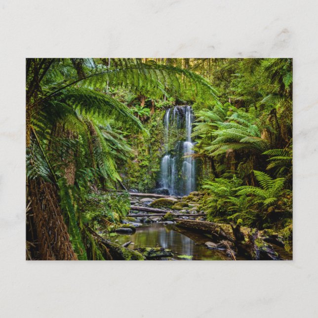 Forests | Beauchamp Falls Australia Postcard (Front)