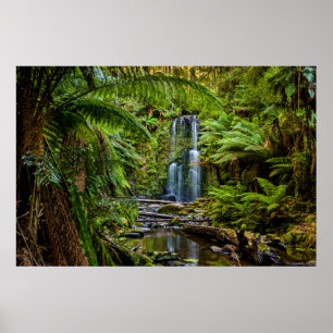 Forests Beauchamp Falls Australia Poster